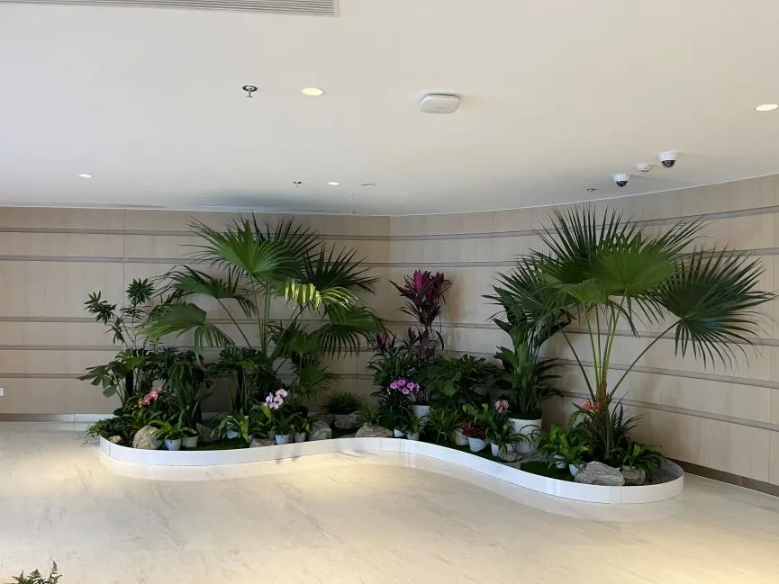 哇塞！江北盆景租赁，服务好到爆啦！