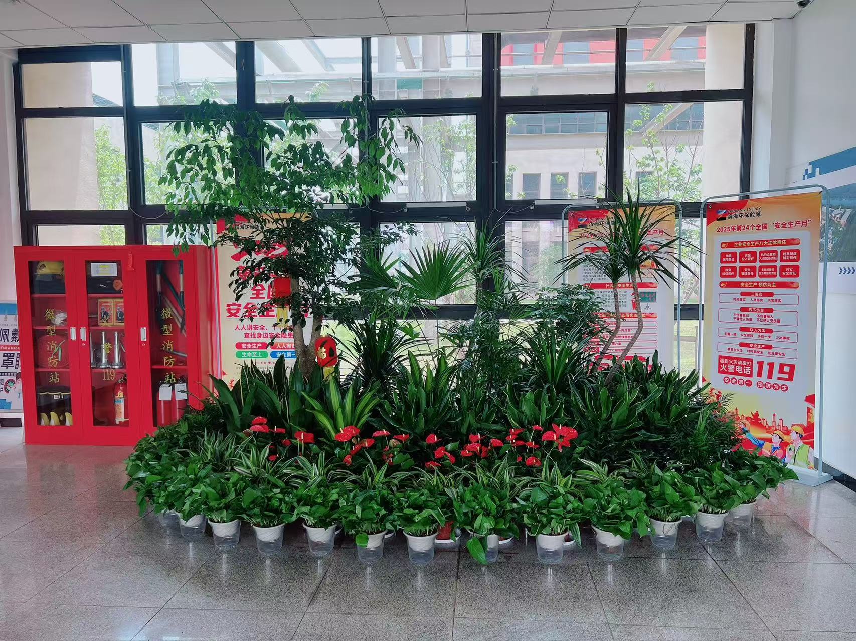 江北花卉出租哪家好